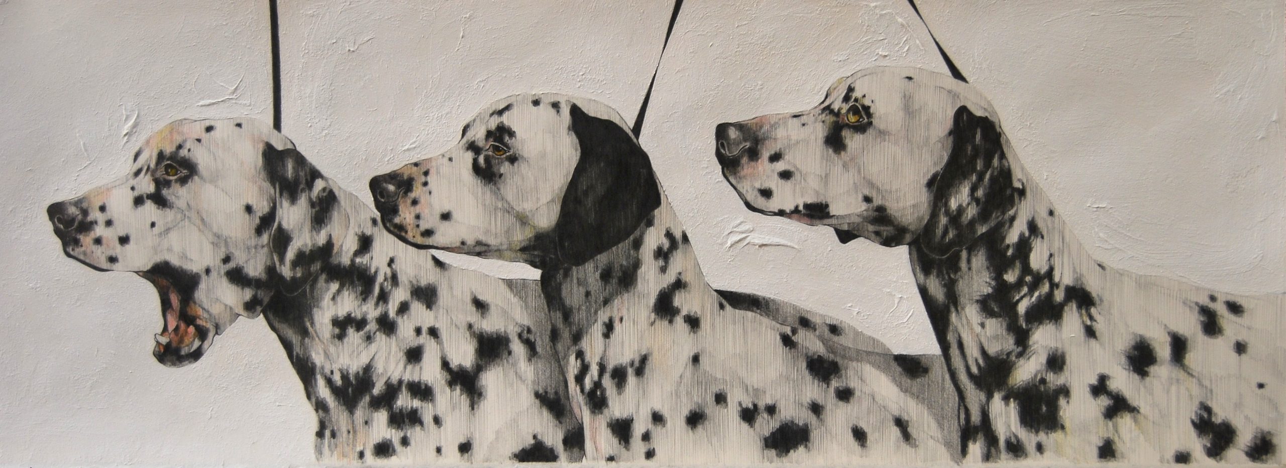 Dalmations Waiting for the judges, Sydney Royal Easter Show. Pencil on Paper. 48x116cm