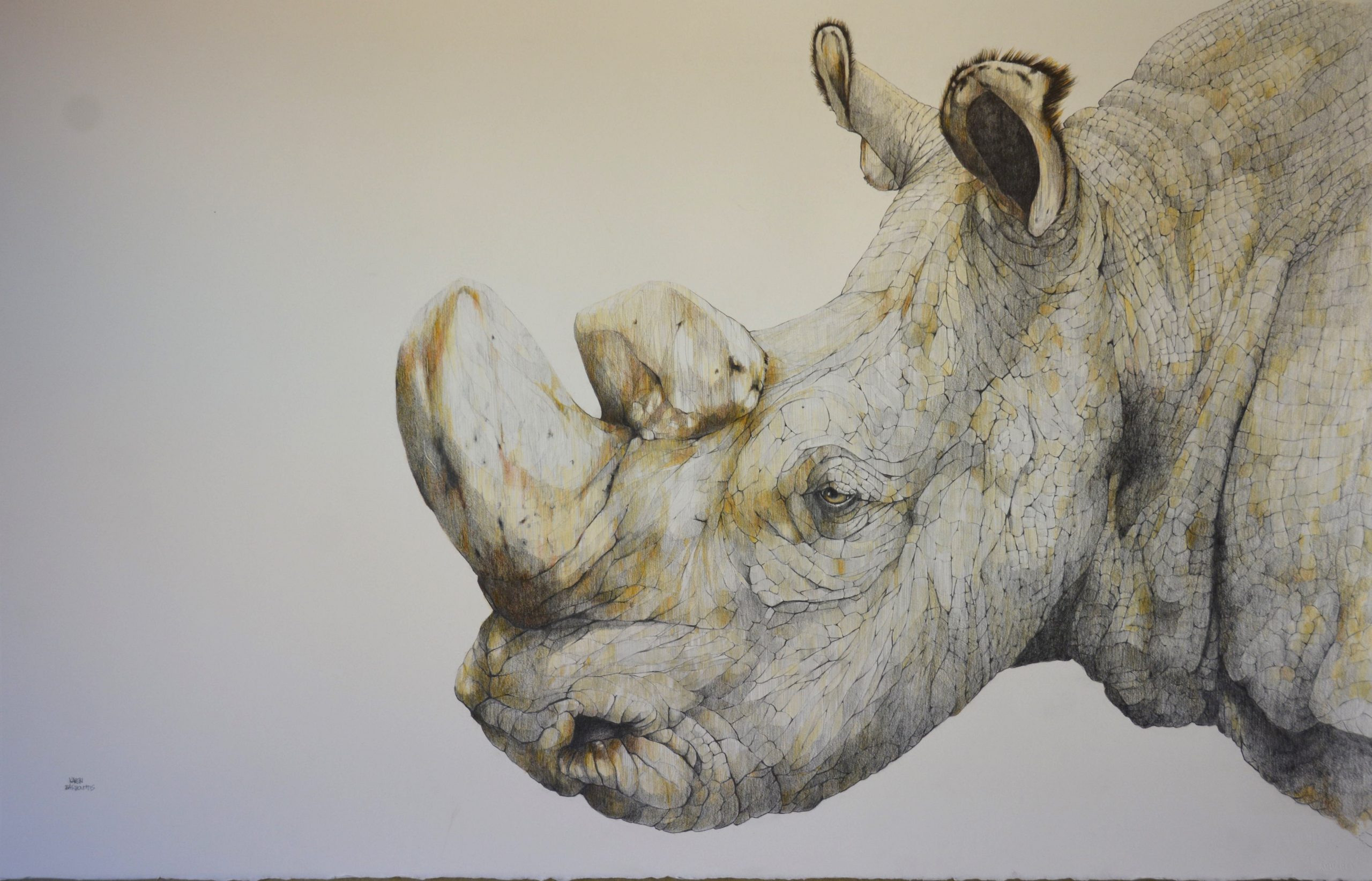RIP Sudan, the Last Male Northern White Rhinoceros 2018. Pencil on Paper. 80x117cm